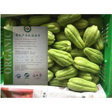 速递纯净之味 新三产季蔬菜亮相