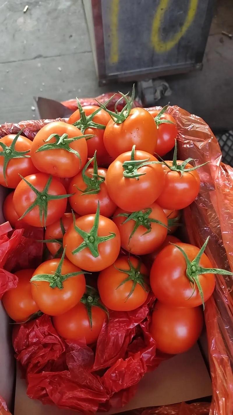 泉州市晋江市工厂蔬菜配送.苏记蔬菜粮油批发配送,价格实惠,专 - 抖音